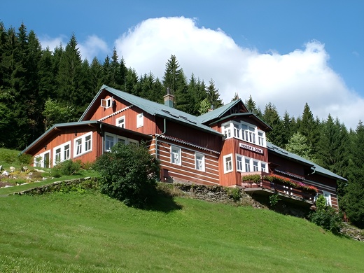 803528-Letní fotografie 18.jpg