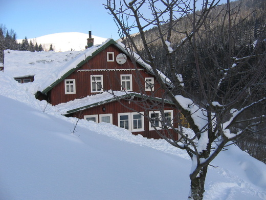 803547-Zima 2012 12.jpg